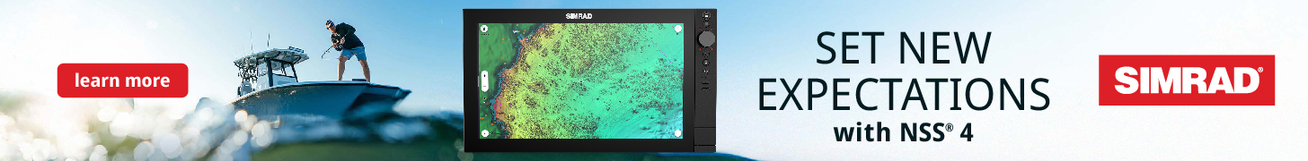 Simrad NSS 4 NZ