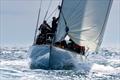 12 Metre North American Championship © Lauren Darby Zike