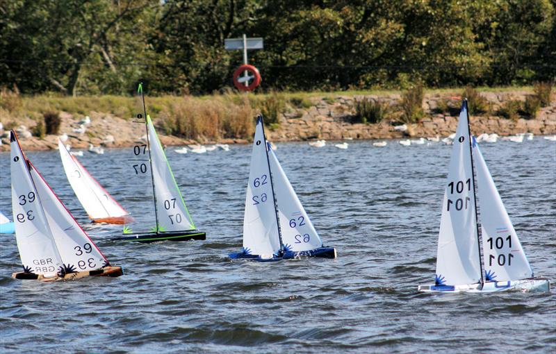 MYA Scottish District IOM Championship at Buchanness - photo © Bill Odger