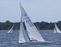 Gary Davidson of the Royal Yacht Club. of Tasmania © Christie Arras