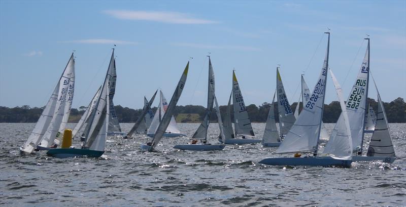 Close racing on Gippsland Lakes for the 2.4mR Australian Championship on day 1 - 2025 2.4mR Australian Championship Paynesville photo copyright Christie Arras, GLYC taken at Gippsland Lakes Yacht Club and featuring the 2.4m class