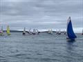 Taggart's Junior Icebreaker Series at Ballyholme Yacht Club © David Nelson