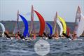 Ovington Boats 29er Championships at WPNSA © Oli King Photography