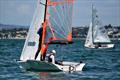 Masonic Cup - Wakatere Centennial Regatta - February 2026 &copy; Richard Gladwell/Sail-World.com/nz
