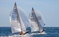 Sailors in the 505 Class will battle it out for the New England Championship © Rod Harris / Sail Newport/2023