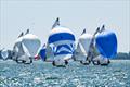 505 North American Championship 2025 © Lexi Pline Photography