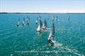 505 North American Championship 2025 © Lexi Pline Photography