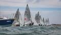 Start of the third race of the 2025 505 HISC Open © Peter Hickson