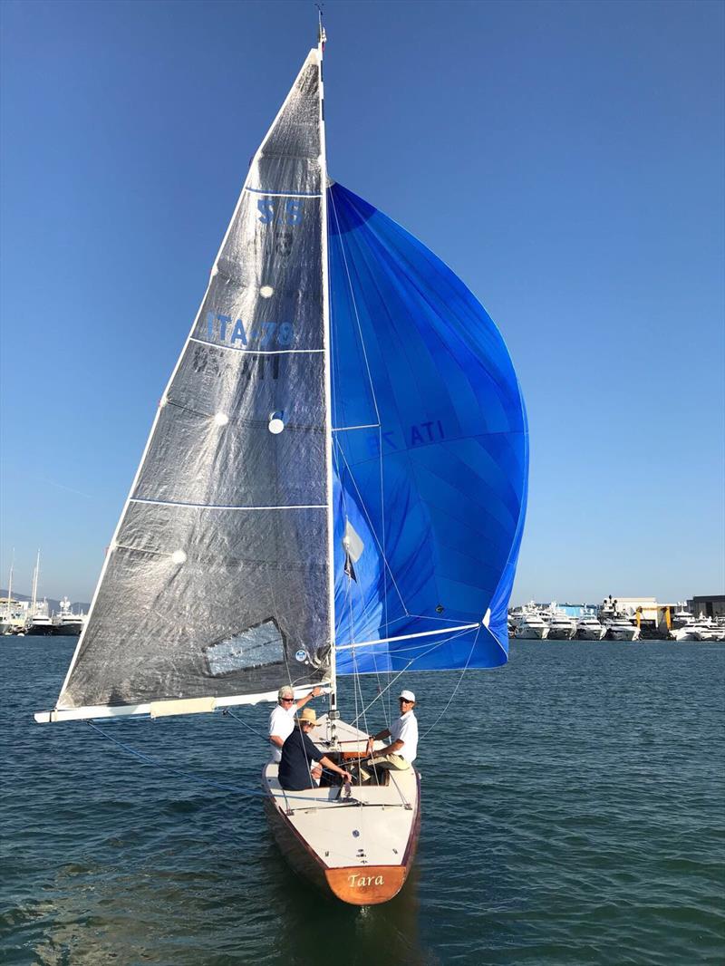 Tara at the Viareggio Classic Regatta photo copyright Paolo Maccione taken at Club Nautico Versilia and featuring the 5.5m class