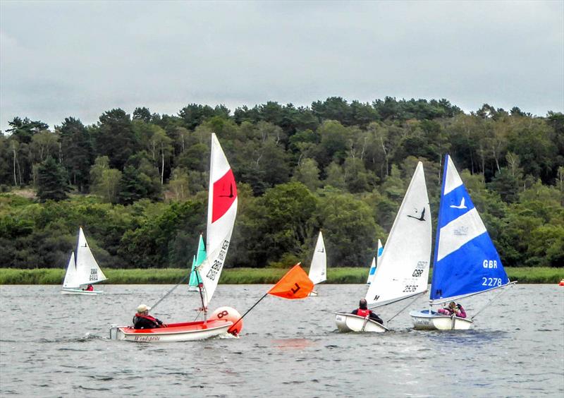 Close racing in the 2-3 Fleet during the Hansa TT at Frensham photo copyright Tony Machen taken at Frensham Pond Sailing Club and featuring the Hansa class