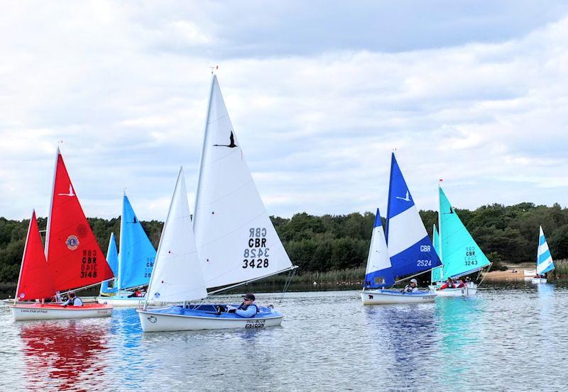 Frensham Hansa TT - Mixed 303 fleet photo copyright Tony Machen taken at Frensham Pond Sailing Club and featuring the Hansa class