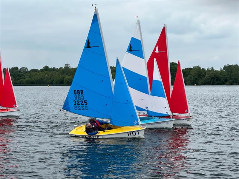 Hansa Class UK Nationals 2024 at Whitefriars photo copyright Nicky Durston taken at Whitefriars Sailing Club and featuring the Hansa class