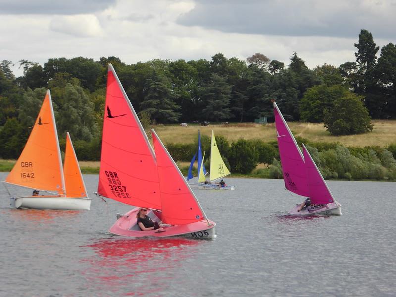 UK Hansa TT at Northampton photo copyright Robert McIntrye taken at Carsington Sailing Club and featuring the Hansa class