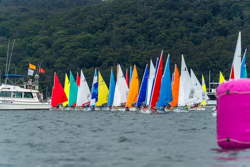 All business at the 303 start - 2025 Hansa and Para World Championships photo copyright Alex Dare, Down Under Sail taken at Royal Prince Alfred Yacht Club and featuring the Hansa class