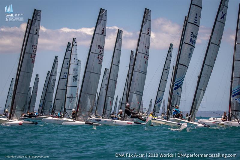 A Cat World Championship 2018 day 3 - photo © Gordon Upton / www.guppypix.com