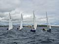 Pre start action during the 2023 Ajax Nationals at St. Mawes © Lindsey Thomas