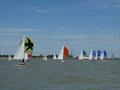 Ajax Nationals at Harwich: The fleet running to the leeward mark. All very close! © Hazel Mayhew