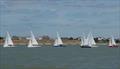 Ajax Nationals at Harwich: The fleet beating away from the leeward mark with Dovercourt in the backround © Hazel Mayhew