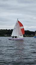 Ajax Class at Falmouth Week 2024 © Dan Teubert, Jenna, Abi Rickard