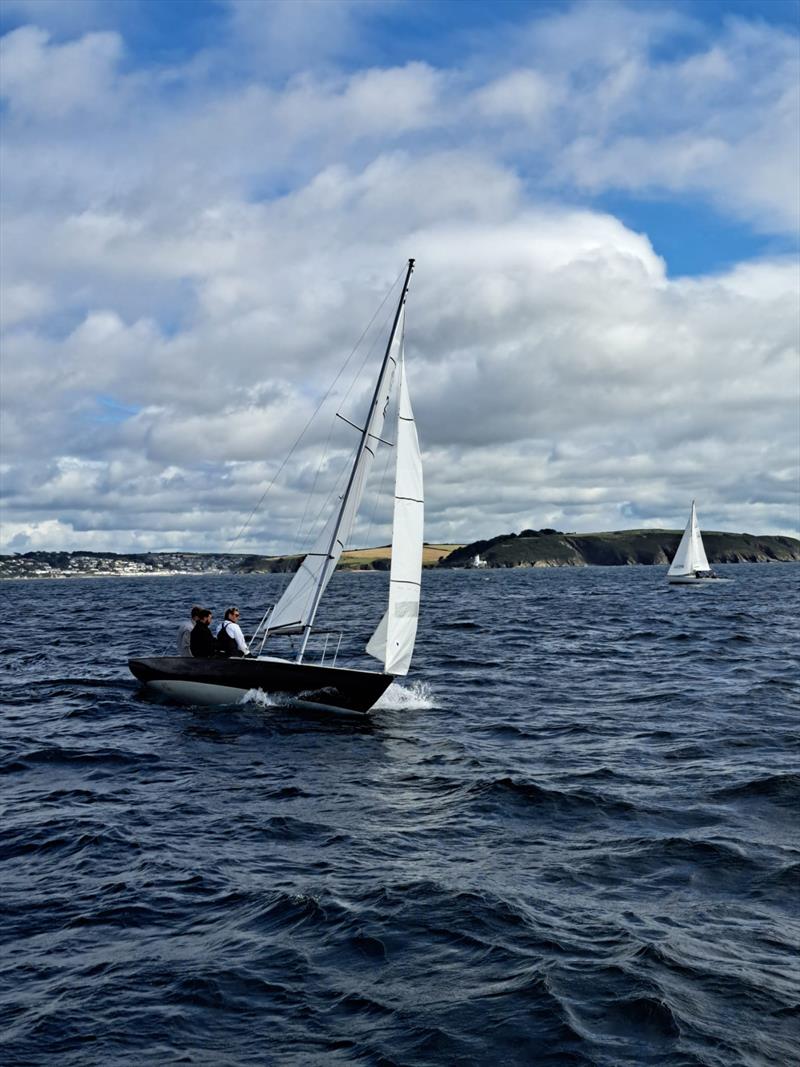 Halcyon during the 2023 Ajax Nationals at St. Mawes photo copyright Lindsey Thomas taken at St. Mawes Sailing Club and featuring the Ajax class