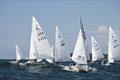 2025 Albacore Ontario Championship at the Buffalo Canoe Club © Linda Kramer & Jennifer Forkes