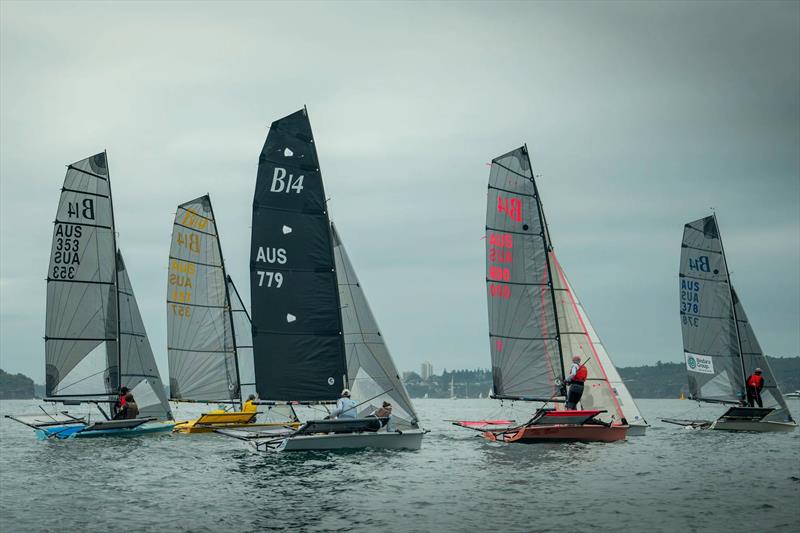 B14 NSW State Titles at Woollahra Sailing Club - Light conditions for starting on Day 2 - photo © DarcNmedia / www.instagram.com/darcn_media/