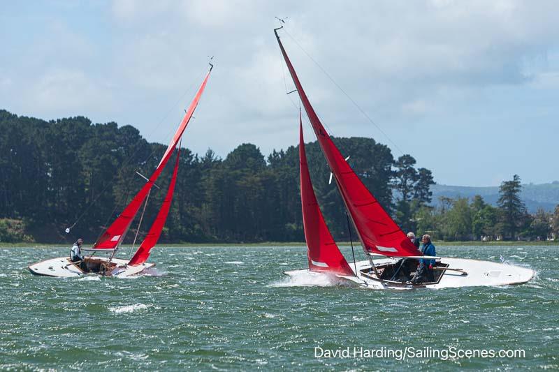 2024 International Paint Poole Regatta Day 2 photo copyright David Harding / www.sailingscenes.com taken at Parkstone Yacht Club and featuring the Bembridge Redwing class