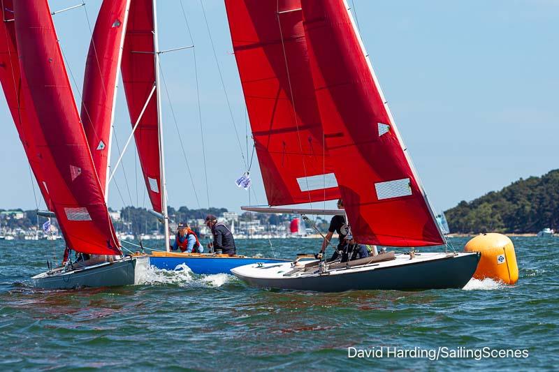 2024 International Paint Poole Regatta Day 1 photo copyright David Harding / www.sailingscenes.com taken at Parkstone Yacht Club and featuring the Bembridge Redwing class