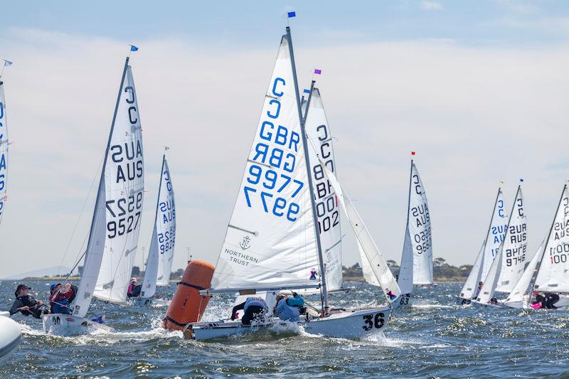 British Cadet Team at the Cadet Australian Nationals in Melbourne - photo © Corinne Whitehouse