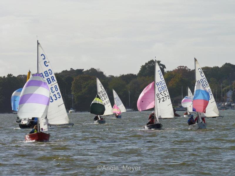 Cadet Open Meeting at Waldringfield photo copyright Angie Meyer taken at Waldringfield Sailing Club and featuring the Cadet class