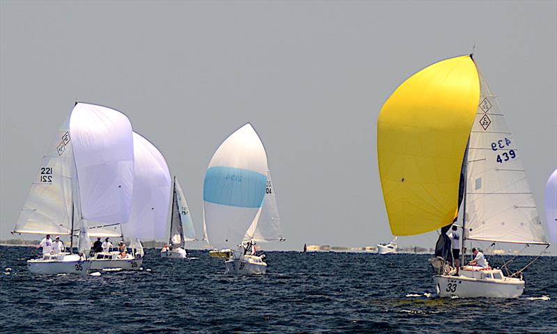 Spinnaker Fleet winner Justin Chambers 'Buc-ee' (sail #221, bow 35) with his crew Doug Thome and Winn Story took the spinnaker series at the 2021 Catalina 22 National Championship with a 1-1-2 score photo copyright Talbot Wilson taken at Pensacola Yacht Club and featuring the Catalina 22 class