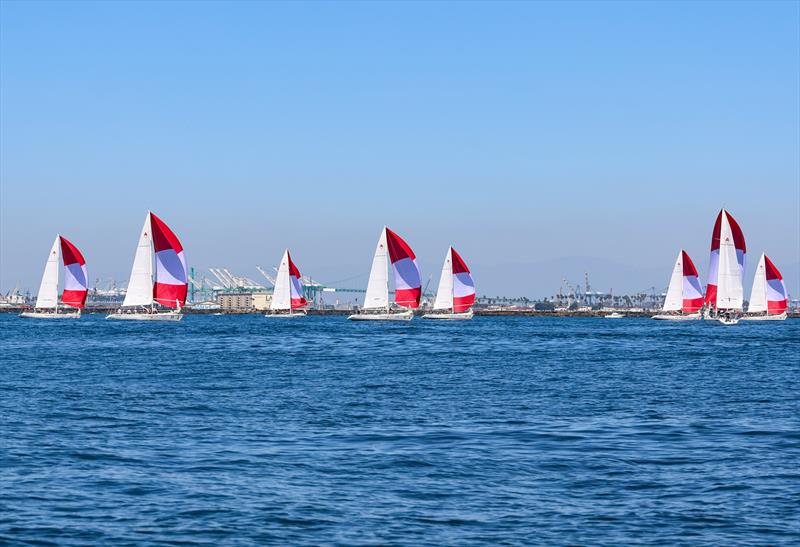 2025 Port of Los Angeles Harbor Cup photo copyright Bronny Daniels / Joysailing.com taken at Los Angeles Yacht Club and featuring the Catalina 37 class