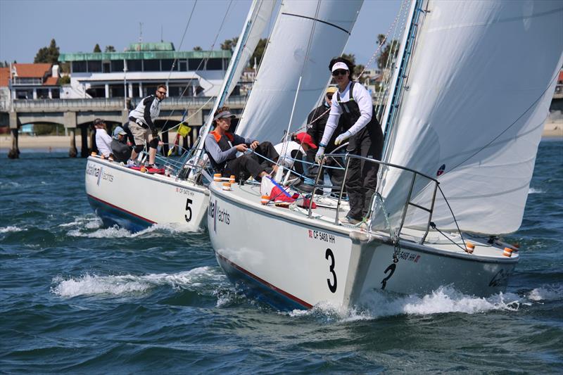 California Dreamin' Series photo copyright Long Beach Yacht Club taken at Long Beach Yacht Club and featuring the Catalina 37 class