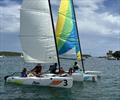 Open House participants enjoyed sailing Hobie Waves © Rian Bareuther