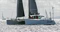 Multihull, Peccadillo © Al Dillon