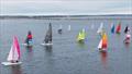 Annual Juana Good Time Regatta