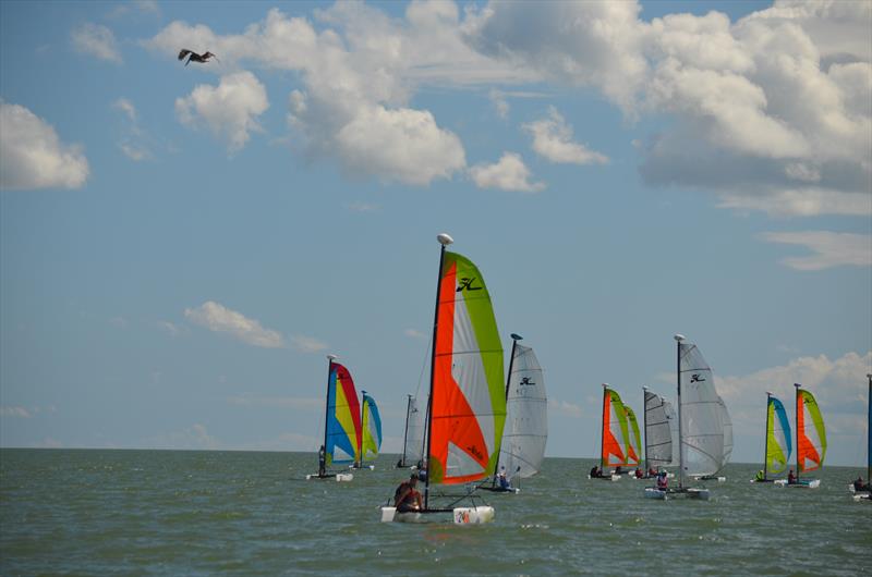 Singlehanded Hobie Wave racecourse action photo copyright Hobie Wave Class taken at Atlantic Yacht Club, New York and featuring the Catamaran class