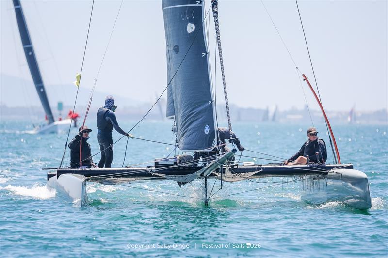 Ritalin were a standout - Festival of Sails 2026 photo copyright Salty Dingo taken at Royal Geelong Yacht Club and featuring the Catamaran class