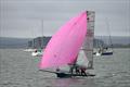 UK Cherub open meeting at Poole © Mike Millard