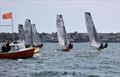 Race start during the Cherub Nationals 2025 at Paignton © Mark Jardine