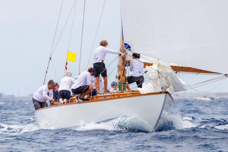 Amorita during the 18th Puig Vela Clàssica Barcelona - photo © Nico Martinez / www.MartinezStudio.es