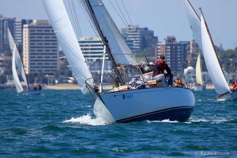 Marama, skippered by John Russell-Cook, enjoying some upwind sailing in the light breezes. Currently leading Division 3 with two wins in today's racing - photo © A.J. McKinnon