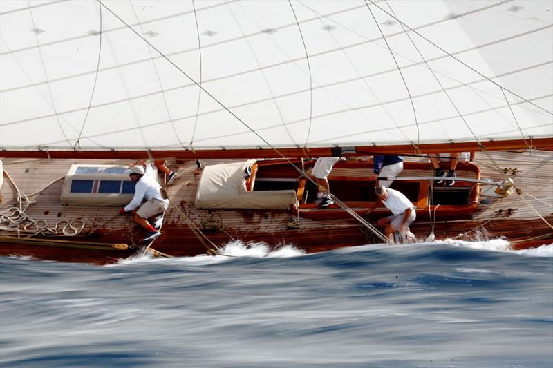 Pantaenius Yacht Racing Image Award 2025 - Lady Anne during Les Voiles de Saint-Tropez photo copyright Eugenia Bakunova taken at Société Nautique de Saint-Tropez and featuring the Classic Yachts class