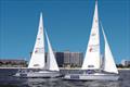 Colgate 26 boats at Pink Shell © Offshore Sailing School