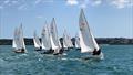 Noble Marine Comet Trio Mark1 Nationals at Brixham Day 2 © Peter Lytton