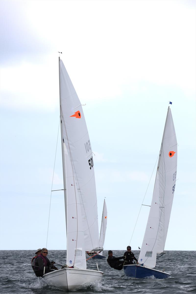 Noble Marine Comet Trio Mark 1 Nationals at Exe Day 1 photo copyright Rob Vince taken at Exe Sailing Club and featuring the Comet Trio class