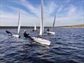 Yorkshire Dales Contender Open © YDSC Committee Boat