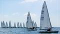 Contender Travellers at Felpham © Tony Lord