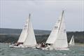 English Rose ahead of Carolina during the Round the Island Race 2025 © Rob Hamlett (Connie)