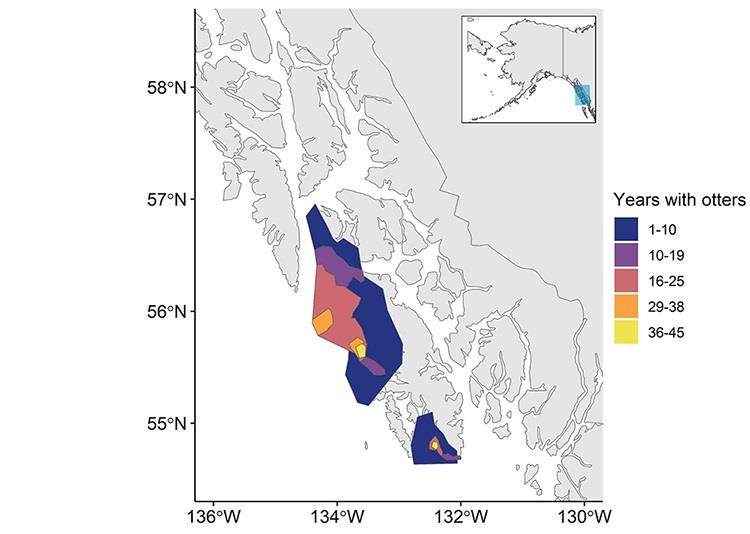 Results of decadal surveys of sea otter range extent in Southeast Alaska, indicated by the years of occupation since the ShoreZone kelp surveys - photo © NOAA Fisheries